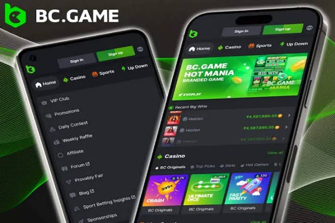 Discover the Thrills of BC.Game Online Casino 951420380